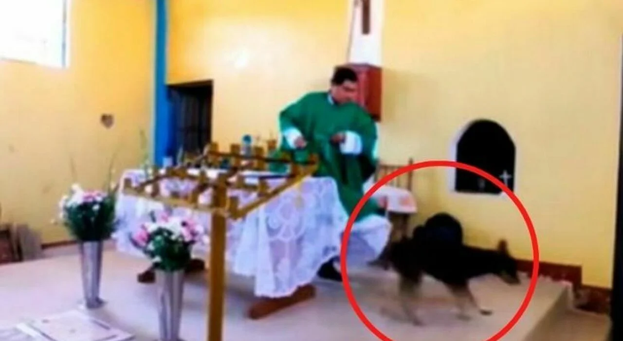 A-dog-enters-the-church-the-priest-kicks-him-Jesus.jpg