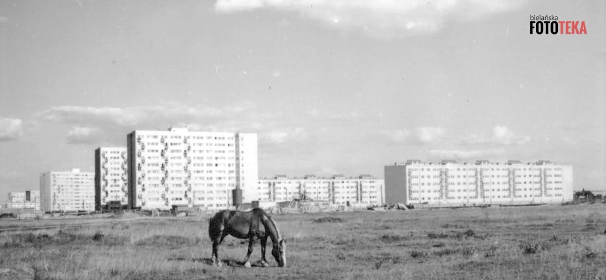 Widok na osiedle Wrzeciono od strony Huty Warszawa  [Bielańska Fototeka]