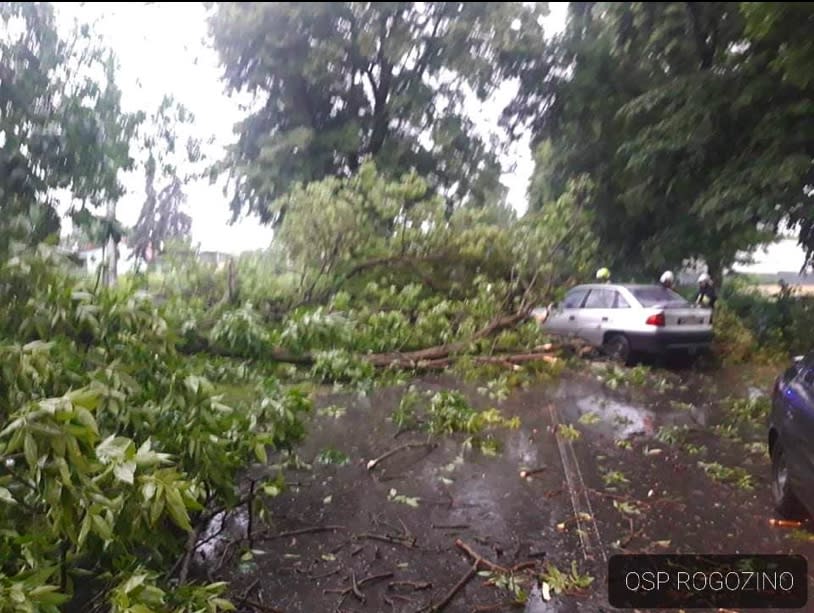 OSP Rogozino pomagało kierowcy, które auto przygniecione zostało przez konar drzewa
