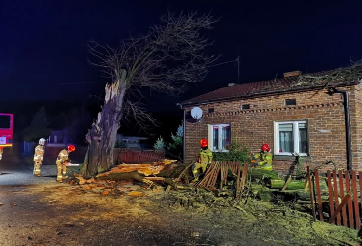 Wielkopolska: zerwane dachy i powalone drzewa w całym województwie