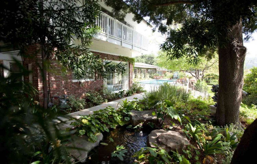 Oczko wodne i zieleń w ogrodzie Elizabeth Taylor