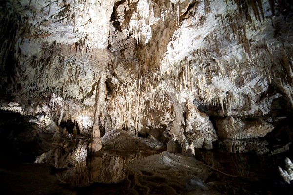 jaskinia-raj-ponownie-otwarta-dla-turystow-1-1614456454.jpg