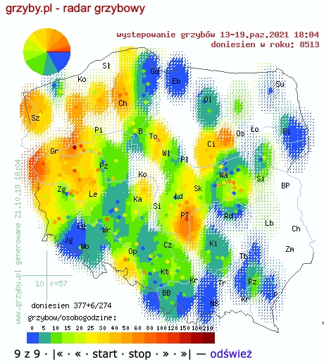 Gdzie na grzyby? Radar występowania grzybów pokazuje, gdzie jest ich najwięcej