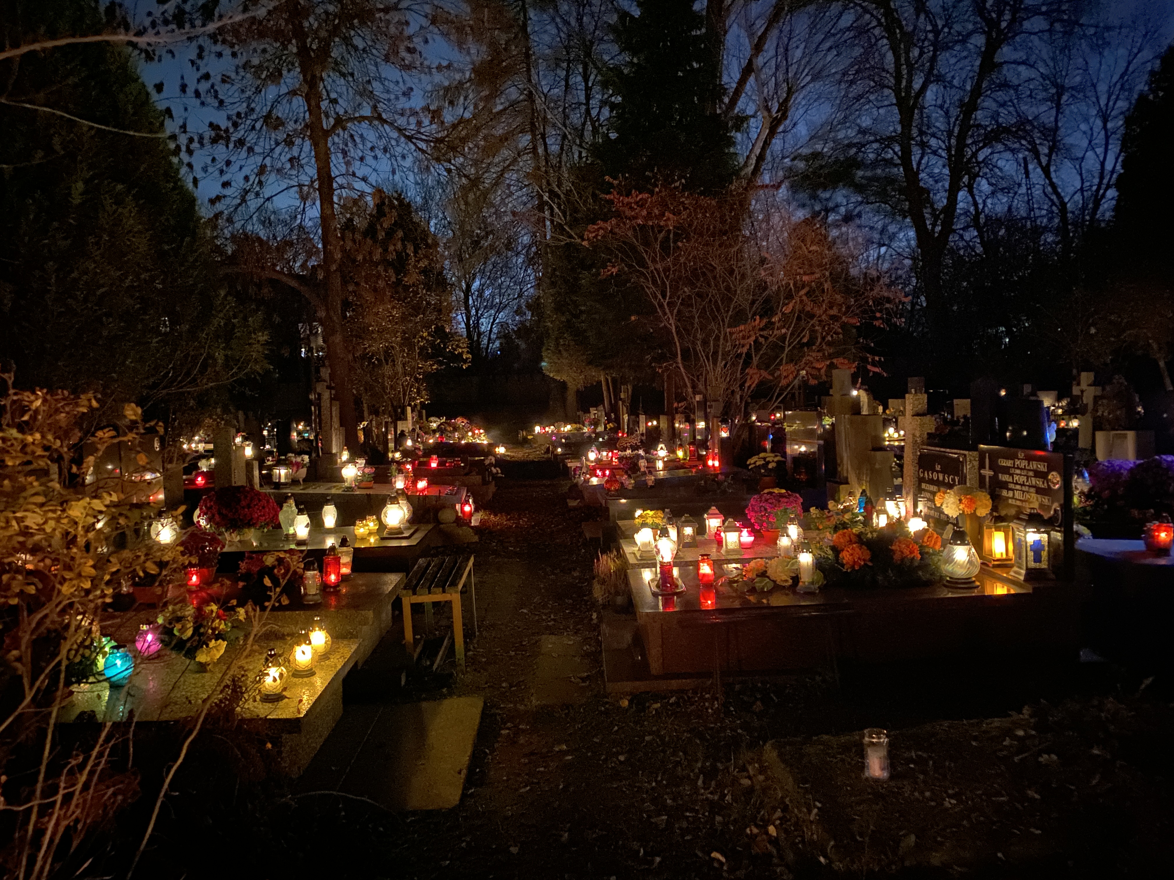 Warszawski Cmentarz Powązkowski nocą. Źródło: Iberion