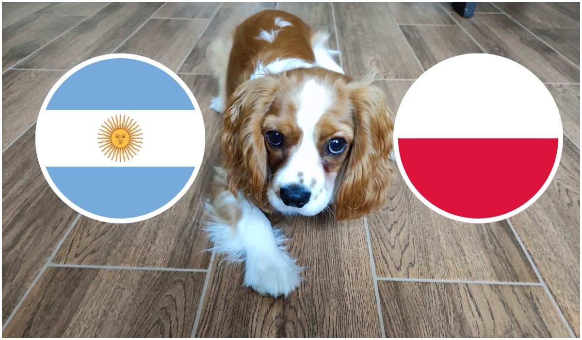 Oti Polska-Argentyna (1)