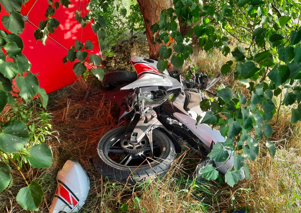 Motocykl 17-letni leżał obok drzewa. Fot.: KM PSP Radzyń Podlaski