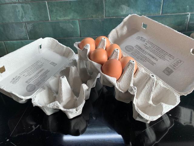 Wytłaczanki po jajkach: nie wyrzucaj ich, możesz ich użyć ponownie
