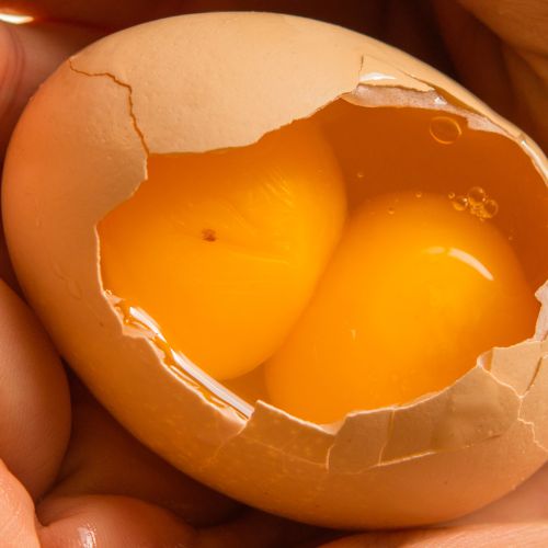 Jajko z podwójnym żółtkiem