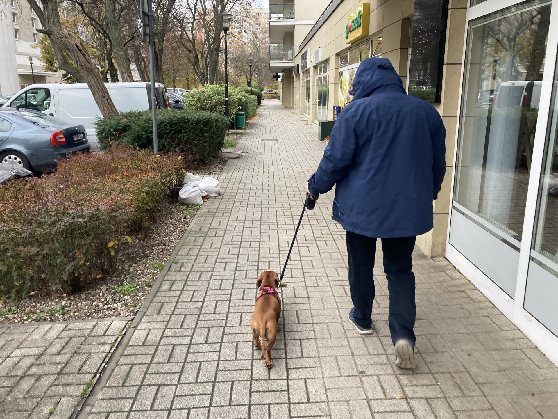 pies-spacer z psem-podatek za psa-iberion