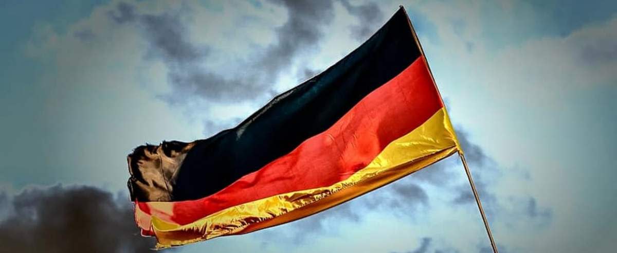 Niemcy chcą utworzenia strefy wolnej od dzików na granicy z Polską.