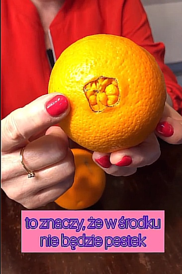 katarzyna bosacka pomarańcze