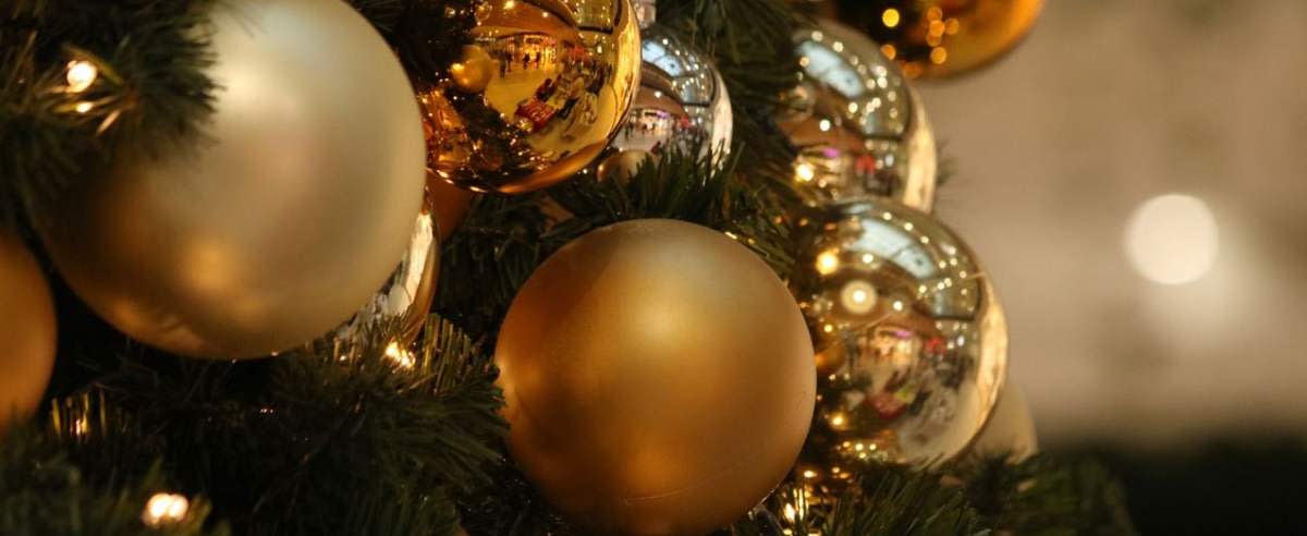 Rzecznik rządu zabrał głos ws. tegorocznych Świąt Bożego Narodzenia