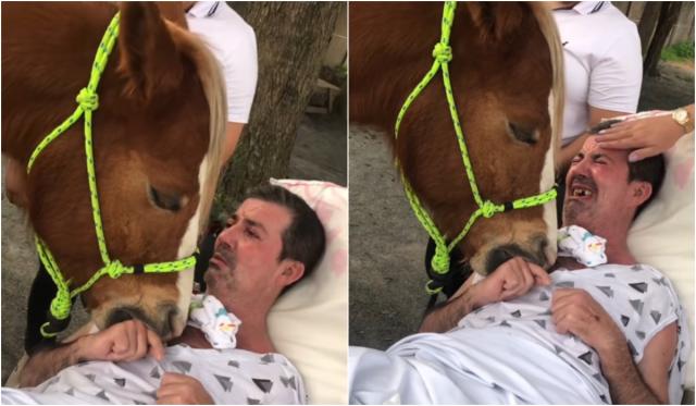 Terapia z koniem