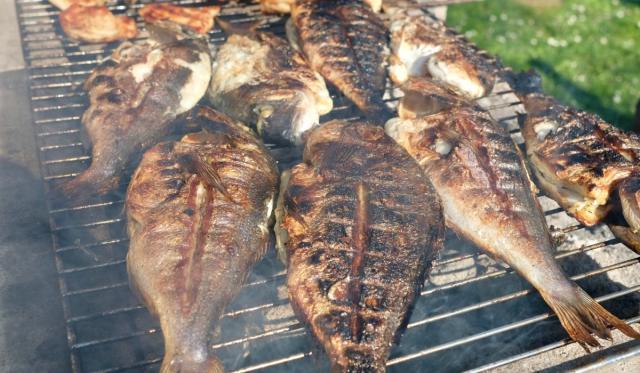 Jakie ryby najlepiej smakują z grilla i jak je przygotować? Najważniejsze informacje
