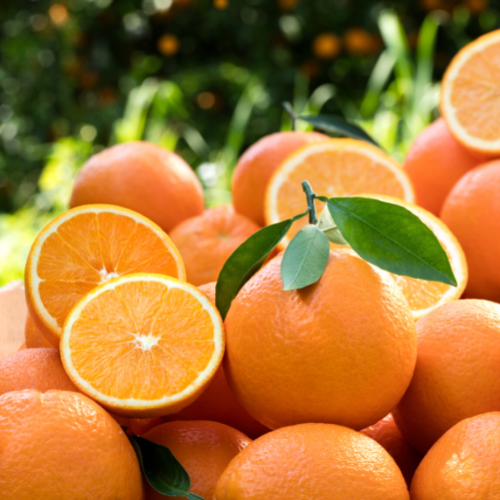 Katarzyna Bosacka podpowiada jak kupować pomarańcze