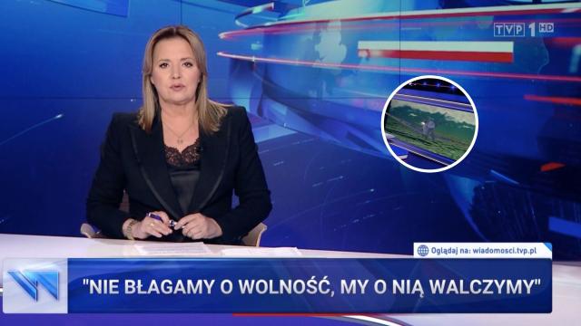 Niecodzienne sceny w "Wiadomościach" TVP, obok Danuty Holeckiej pojawił się samolot