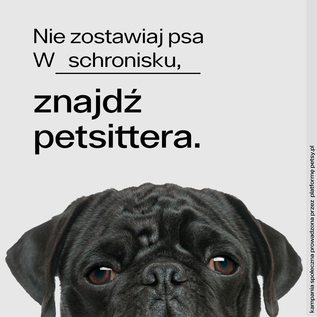 Petsy Nie zostawiaj psa w Lesie 3