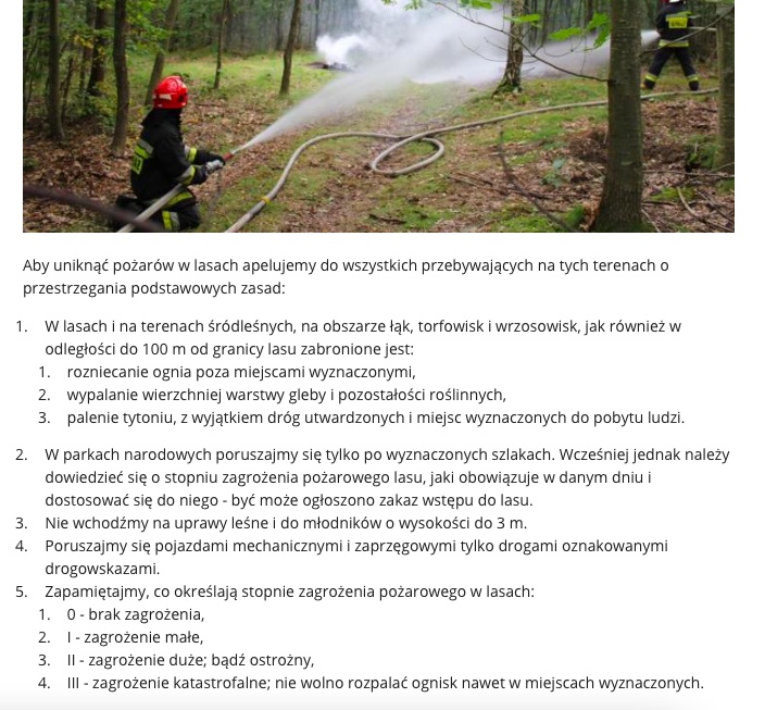 Strażacy wyjaśniają, jak unikać zaprószenia ognia w lesie