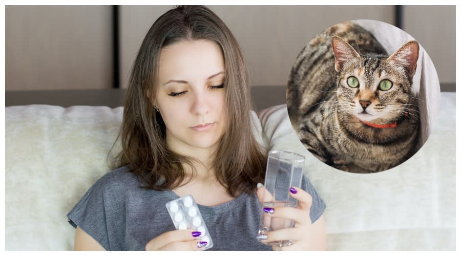 Alergia na koty: przyczyny, objawy, łagodzenie i zapobieganie