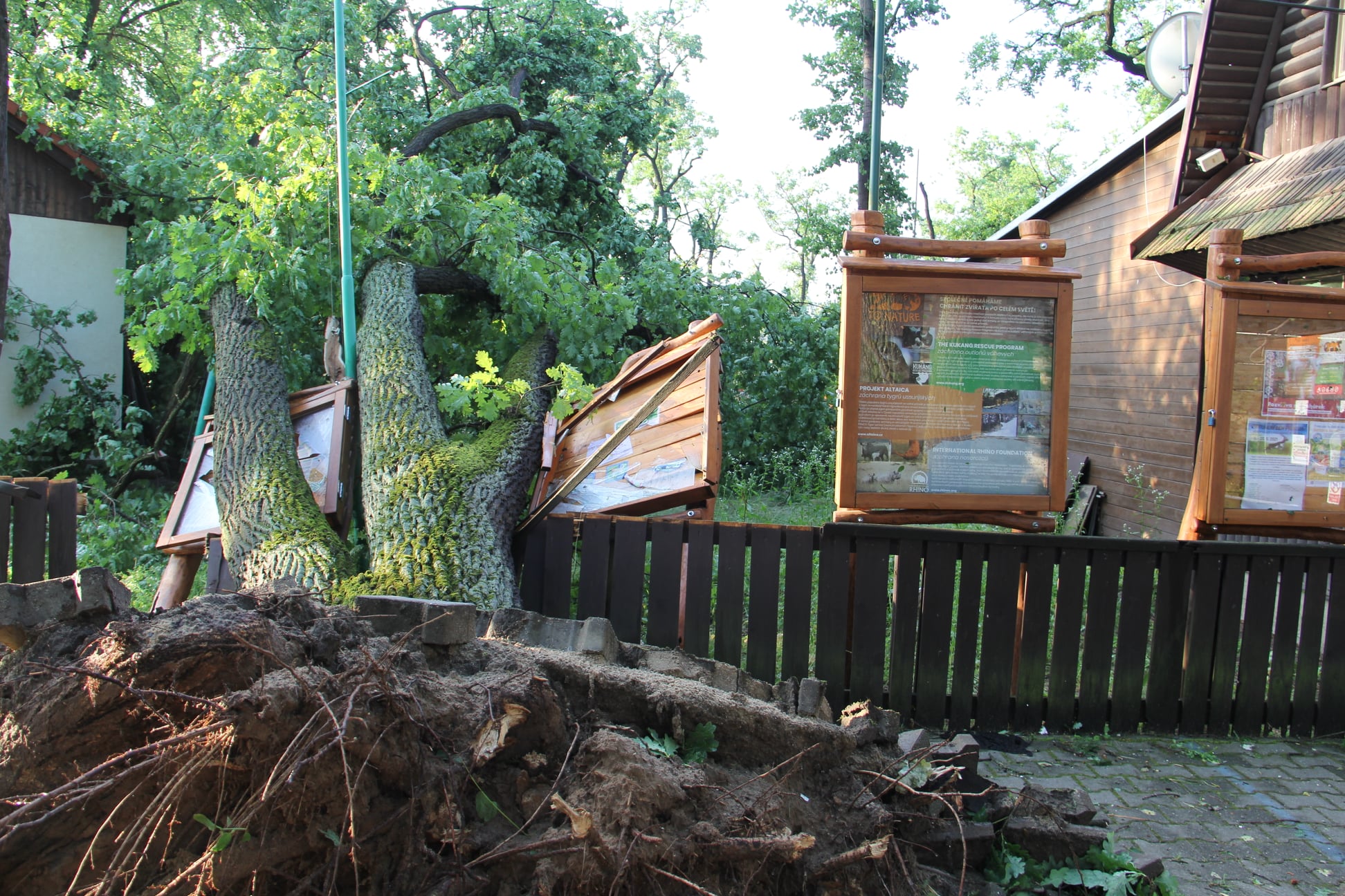 Zoo w Hodoninie po tornadzie