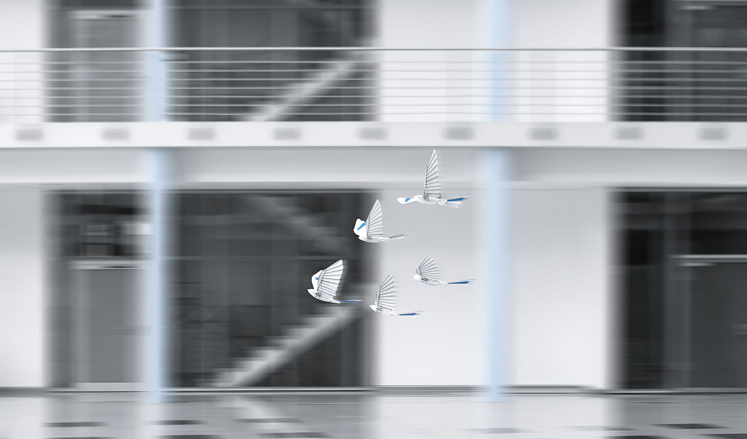 Bioniczne ptaki BionicSwift na grafice koncepcyjnej.
