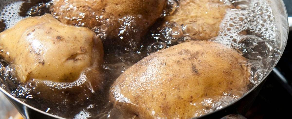 Ziemniaki - jak je gotować?