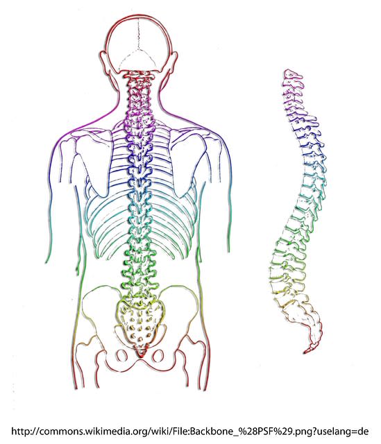 Bóle kręgosłupa – przyczyny, diagnostyka oraz leczenie bólu kręgosłupa