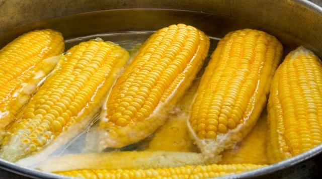 Ile czasu gotować kukurydzę?