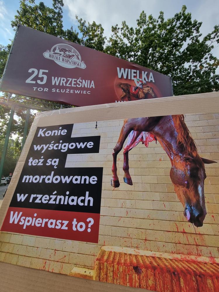 Wielka Warszawska - Konie też są mordowane w rzeźniach