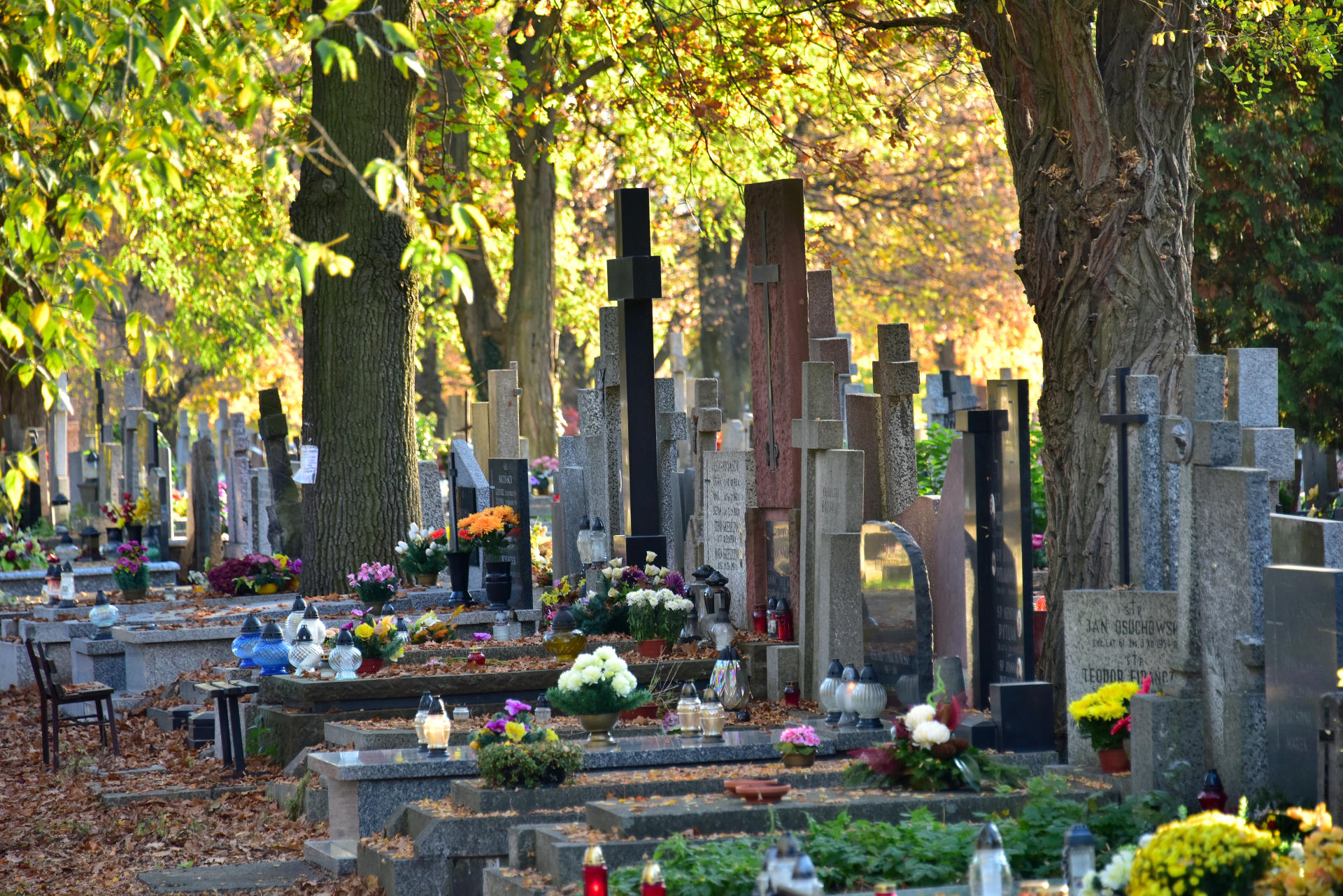 Cmentarz Bródnowski - Wikimedia Commons/Adrian Grycuk