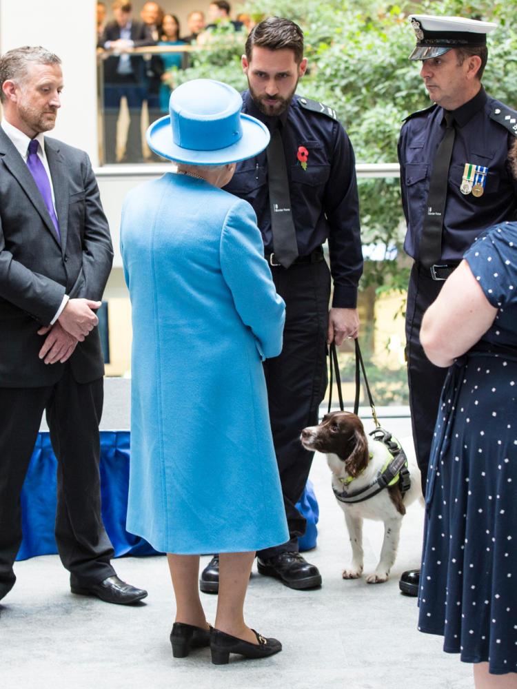 Queen Elizabeth II 2015 HO2