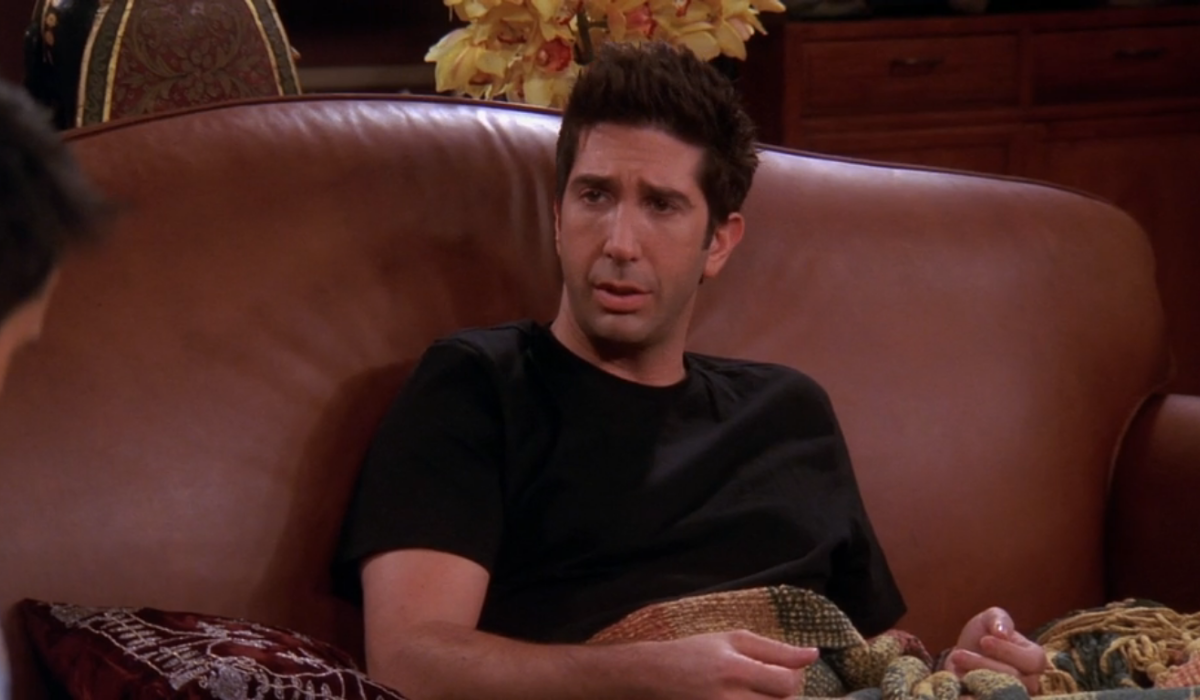 David Schwimmer / Przyjaciele