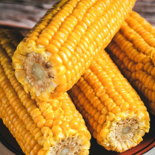 Wiemy, jak gotować kukurydzę, by była soczysta