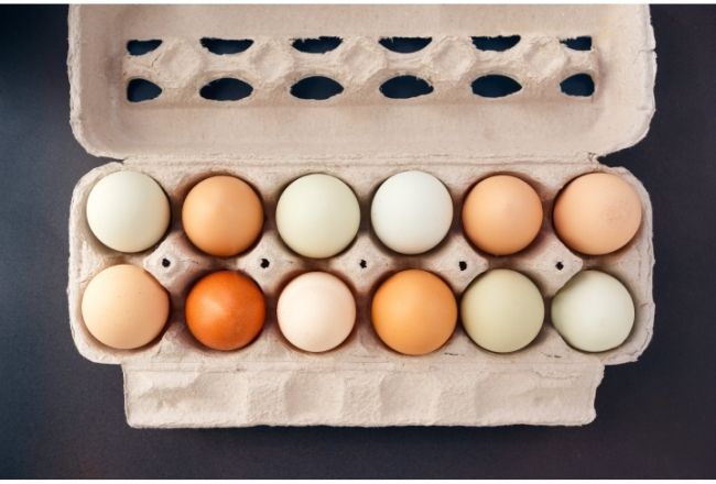 Jajka mogą mieć różne kolory
