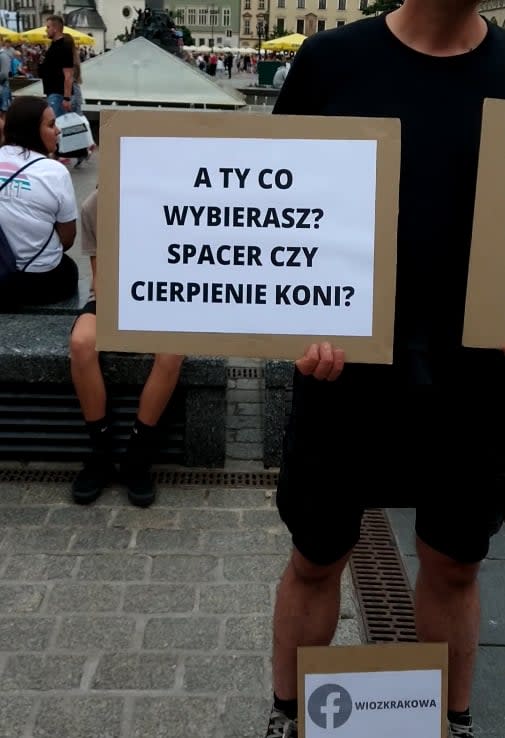 Transparent grupy Wio z Krakowa