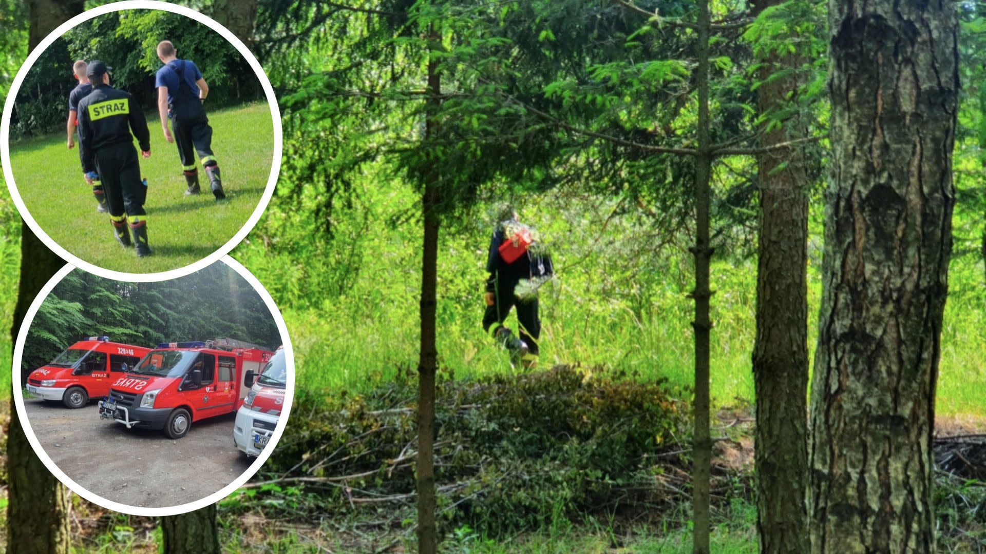 Zwłoki poszukiwanego 81-latka znalezione w lesie nieopodal jego domu