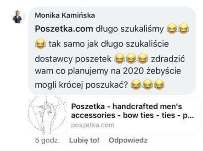 Monika Kamińska - plagiat
