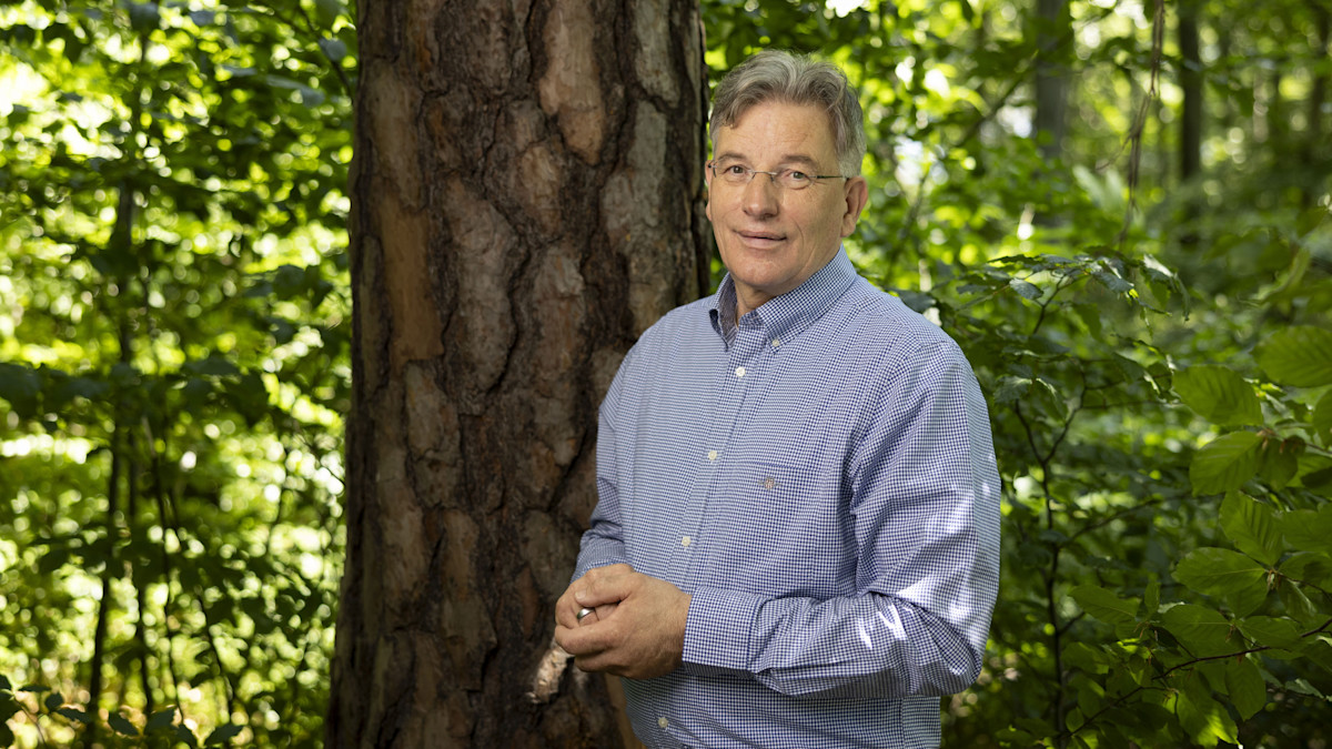 Andreas Bitter