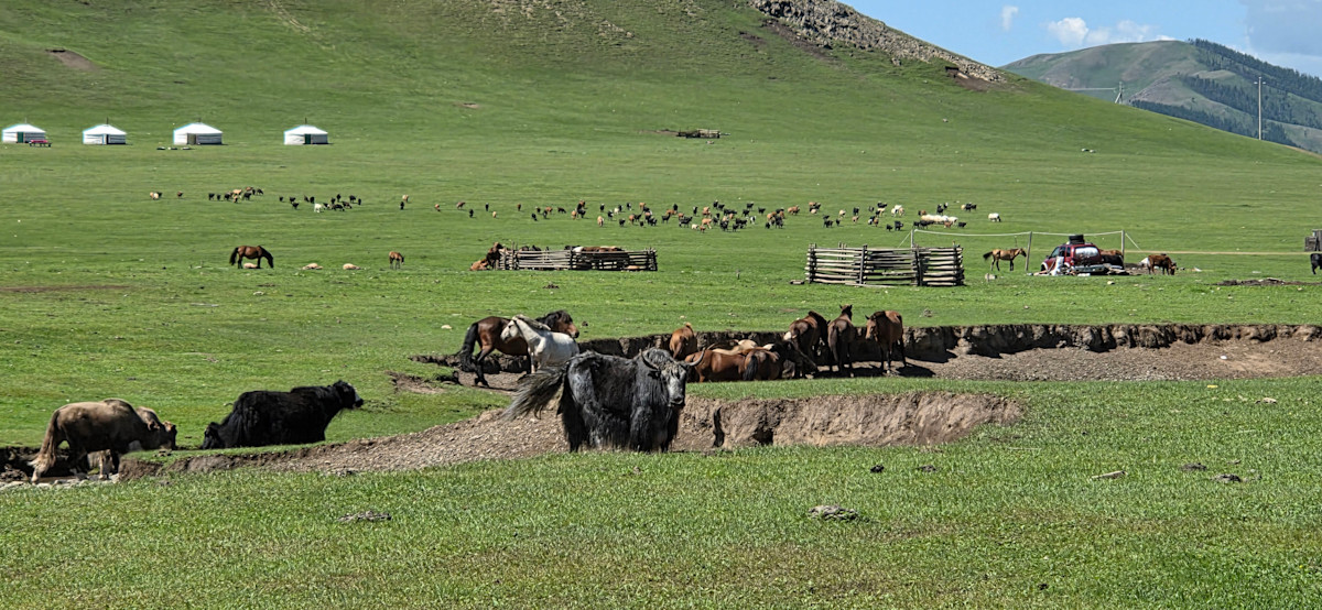 COP17 Mongolei