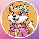 NINA logo