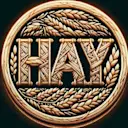 HayCoin logo
