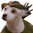 WISHBONE logo