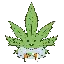 Kush Finance logo