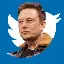 ELON BUYS TWITTER logo
