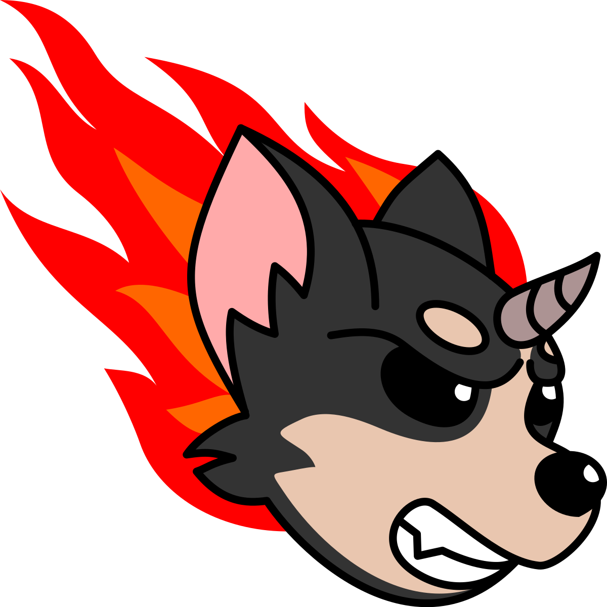 0xd01bc67a6d82a4e07e505d198a55316ec01684a8