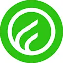 WhaleFog logo