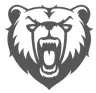 Bearcoin  logo