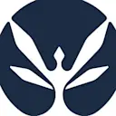 Capsa Finance logo