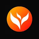 The Global South Digital Currency logo