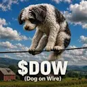 Dog on Wire logo